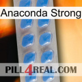 Anaconda Strong 22